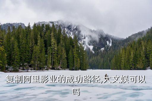 復制阿里影業(yè)的成功路徑,大文娛可以嗎