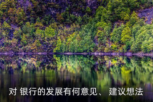 對(duì) 銀行的發(fā)展有何意見、 建議想法