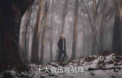殼牌公司總資產(chǎn)額,公司總資產(chǎn)額等于