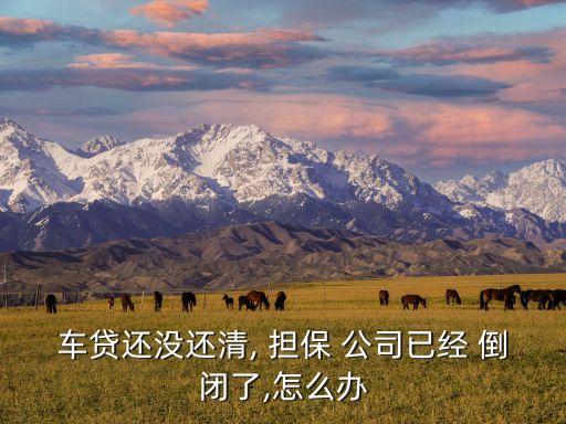 四川擔(dān)保公司倒閉,擔(dān)保公司倒閉了車(chē)貸還要還嗎