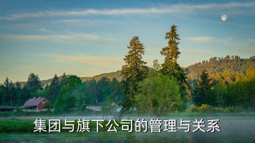 集團(tuán)與旗下公司的管理與關(guān)系