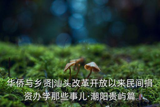 華僑與鄉(xiāng)賢|汕頭改革開(kāi)放以來(lái)民間捐資辦學(xué)那些事兒·潮陽(yáng)貴嶼篇