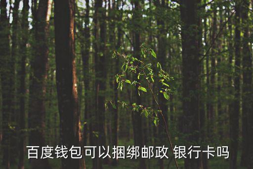  百度錢(qián)包可以捆綁郵政 銀行卡嗎