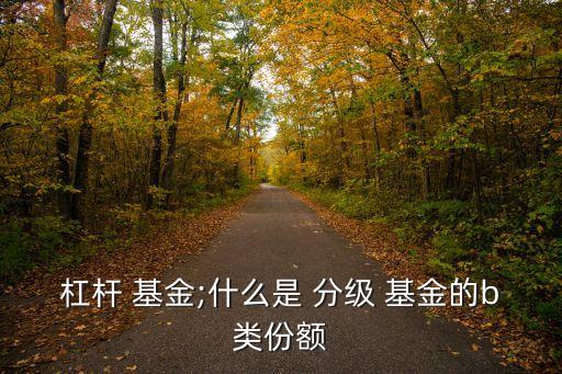 杠桿 基金;什么是 分級(jí) 基金的b類份額