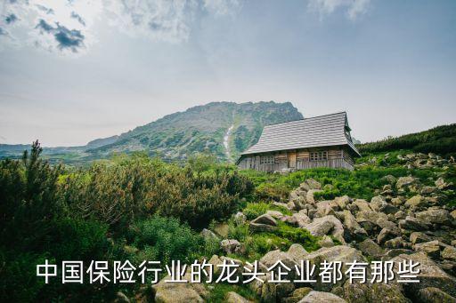 香港中華保險集團,中華保險集團上市最近發(fā)展