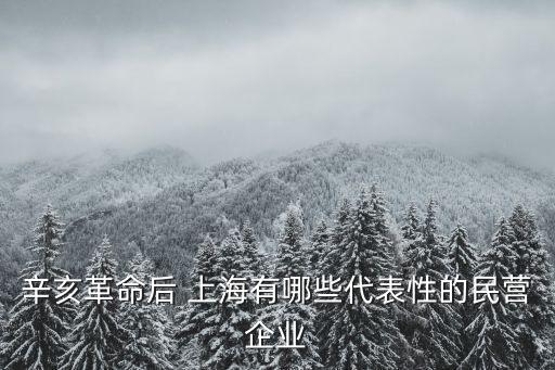 辛亥革命后 上海有哪些代表性的民營(yíng)企業(yè)