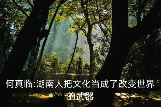 三一集團老板