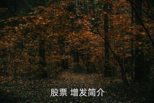  股票 增發(fā)簡介