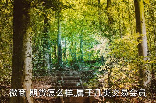 微商 期貨怎么樣,屬于幾類交易會員