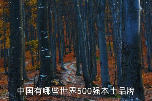 中國有哪些世界500強(qiáng)本土品牌