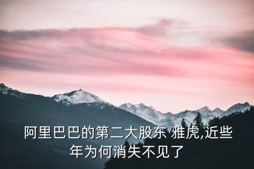 阿里收購(gòu)中國(guó)雅虎