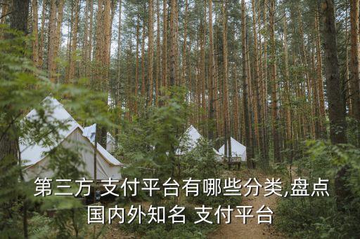  第三方 支付平臺有哪些分類,盤點國內外知名 支付平臺