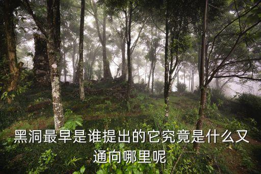中國投資黑洞論,黑洞投資是什么公司