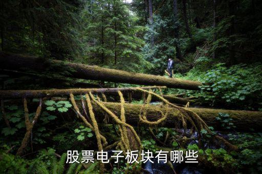  股票電子板塊有哪些