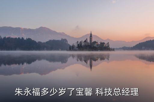 朱永福多少歲了寶馨 科技總經理