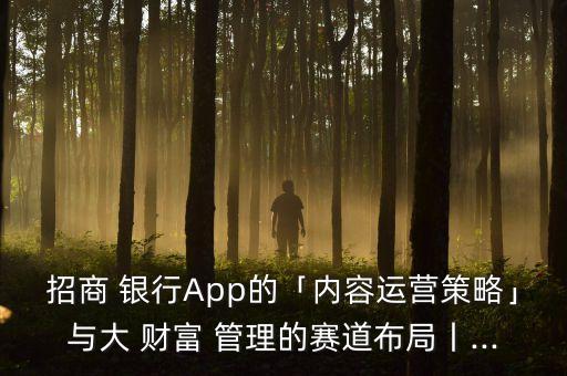 招商 銀行App的「內(nèi)容運(yùn)營(yíng)策略」與大 財(cái)富 管理的賽道布局丨...
