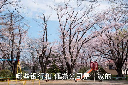 哪些銀行和 證券公司是一家的
