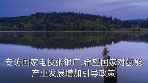 專訪國家電投張銀廣:希望國家對氫能產業(yè)發(fā)展增加引導政策