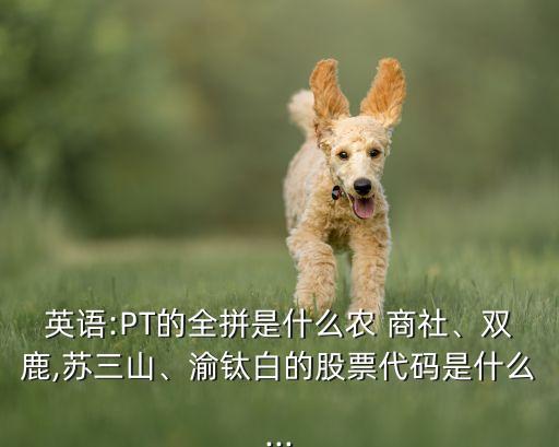 上海都市農商社股份有限公司