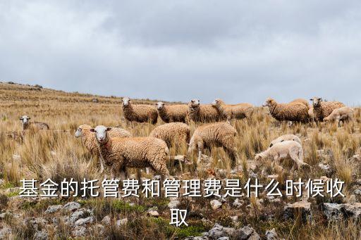  基金的托管費(fèi)和管理費(fèi)是什么時(shí)候收取