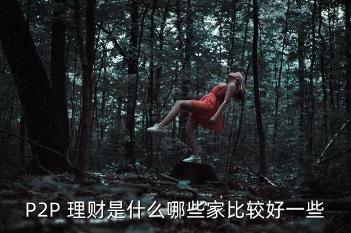 p2p小家庭理財(cái)公司,P2P理財(cái)公司