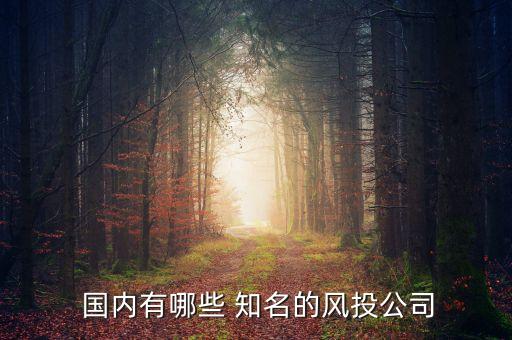  國內(nèi)有哪些 知名的風(fēng)投公司
