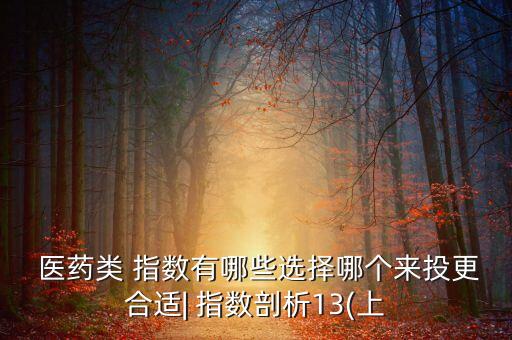  醫(yī)藥類 指數(shù)有哪些選擇哪個(gè)來投更合適| 指數(shù)剖析13(上