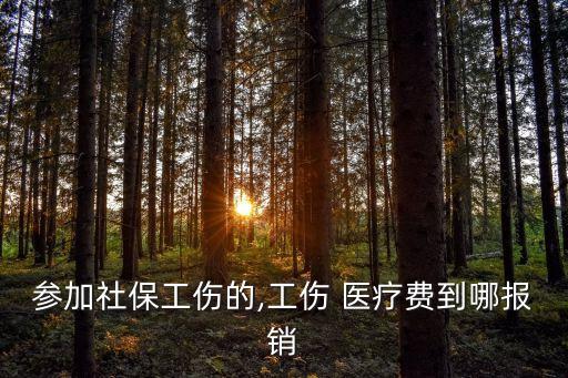 參加社保工傷的,工傷 醫(yī)療費(fèi)到哪報(bào)銷(xiāo)