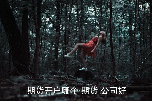  期貨開(kāi)戶哪個(gè) 期貨 公司好