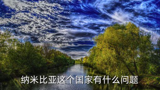 2007外國直接投資,外國直接投資對東道國的影響
