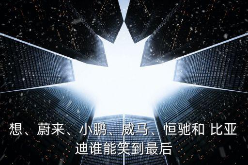 想、蔚來(lái)、小鵬、威馬、恒馳和 比亞迪誰(shuí)能笑到最后