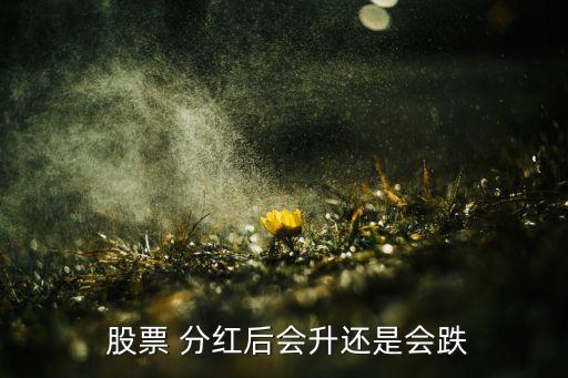  股票 分紅后會升還是會跌