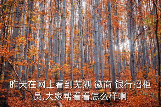 昨天在網(wǎng)上看到蕪湖 徽商 銀行招柜員,大家?guī)涂纯丛趺礃影? class=