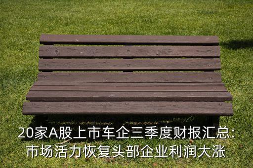20家A股上市車企三季度財報匯總:市場活力恢復(fù)頭部企業(yè)利潤大漲