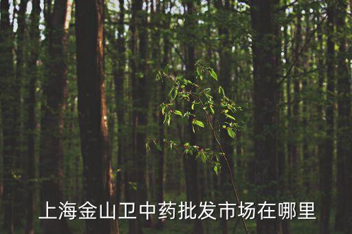  上海金山衛(wèi)中藥批發(fā)市場(chǎng)在哪里