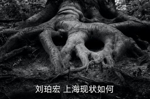 劉珀宏 上?，F(xiàn)狀如何