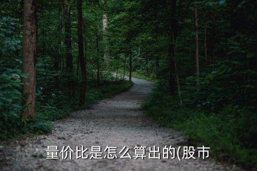 量價(jià)比是怎么算出的(股市