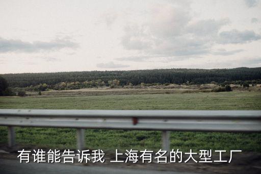 有誰能告訴我 上海有名的大型工廠