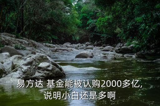 易方達 基金能被認購2000多億,說明小白還是多啊