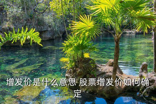 增發(fā)價(jià)是什么意思 股票增發(fā)價(jià)如何確定