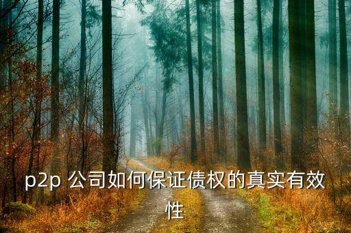 p2p 公司如何保證債權(quán)的真實有效性
