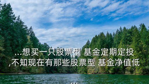 銀華道瓊斯88基金凈