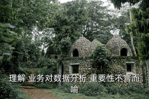 理解 業(yè)務對數(shù)據(jù)分析 重要性不言而喻