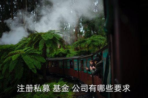 基金管理公司高管的要求,私募基金管理要求
