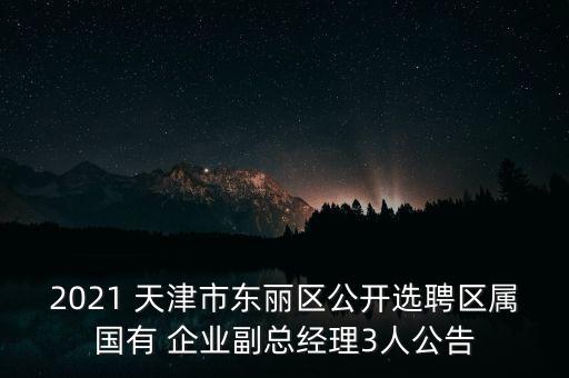 2021 天津市東麗區(qū)公開選聘區(qū)屬國有 企業(yè)副總經理3人公告