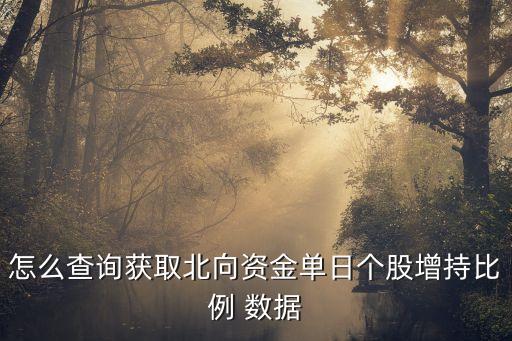 怎么查詢獲取北向資金單日個股增持比例 數(shù)據(jù)