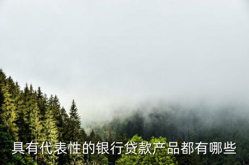 具有代表性的銀行貸款產(chǎn)品都有哪些