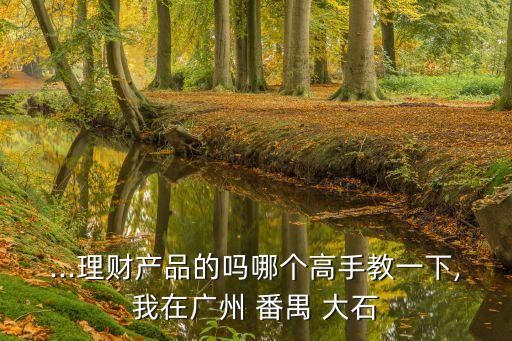 ...理財產品的嗎哪個高手教一下,我在廣州 番禺 大石