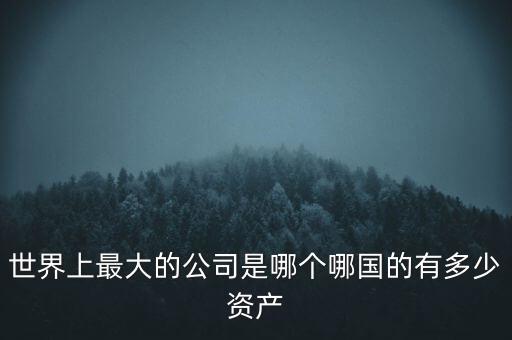 世界上最大的公司是哪個(gè)哪國的有多少資產(chǎn)