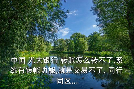 中國 光大銀行 轉(zhuǎn)賬怎么轉(zhuǎn)不了,系統(tǒng)有轉(zhuǎn)帳功能,就是交易不了, 同行同區(qū)...
